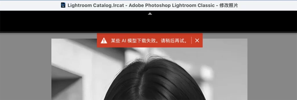 图片[2]-使用 CameraRaw(ACR) 或 Lightroom Classic 提示 “无法下载AI选取模型”、“某些AI模型下载失败。请稍后再试。”-艾克创作